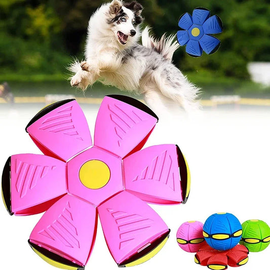 Flying Disc Ball, for dogs (with LED lighting option) ONLY FOR SMALL DOGGS!